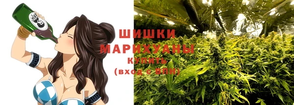 COCAINE Инсар